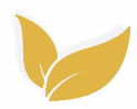 A simple graphic of three overlapping yellow leaves on a light gray background.