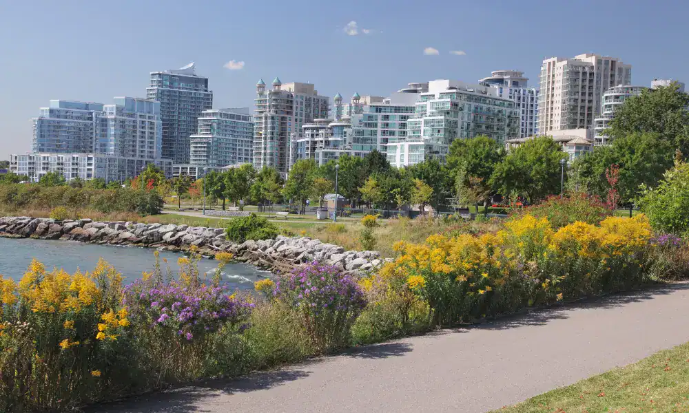 Mississauga's skyline behind a wildflower park and rocky shoreline, representing In Good Nutrition's commitment to empowering Mississauga residents with personalized dietitian support.